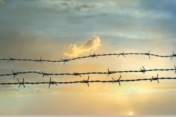 istock barbed wire with cloudy sky in the background 1358205950