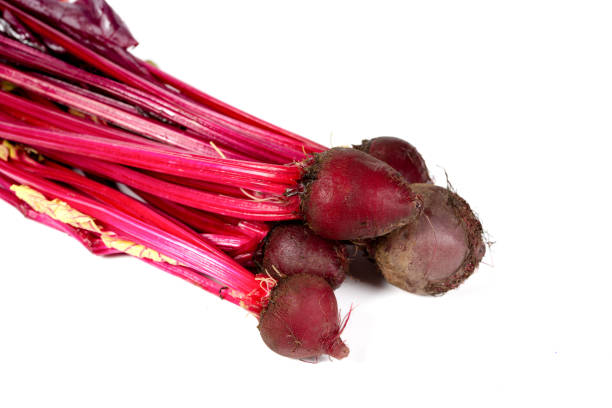 白い孤立した背景に収穫したばかりの赤い大根 - radish isolated bunch vegetable ストックフォトと画像