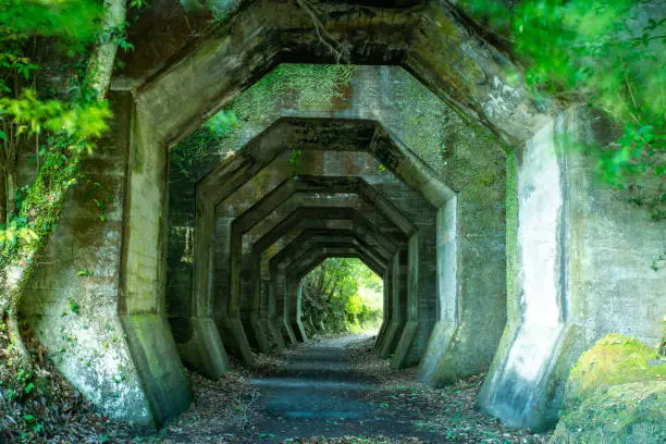 Photo of Hakkaku tunnel