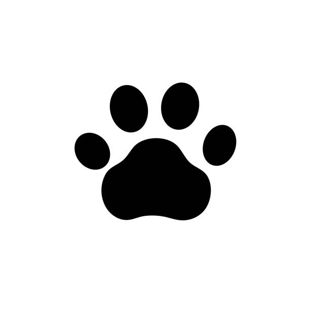 ilustrações de stock, clip art, desenhos animados e ícones de vector paw symbol, black mark isolated, animal paws, icon template. - cria