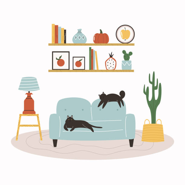 Vector illustration of a cosy living room with sofa, succulent, shelves. lamp and two cats Vector illustration of a cosy living room with sofa, succulent, shelves. lamp and two black cats organized bookshelf stock illustrations