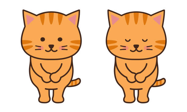 Shy Cat Illustrations, Royalty-Free Vector Graphics & Clip Art - iStock