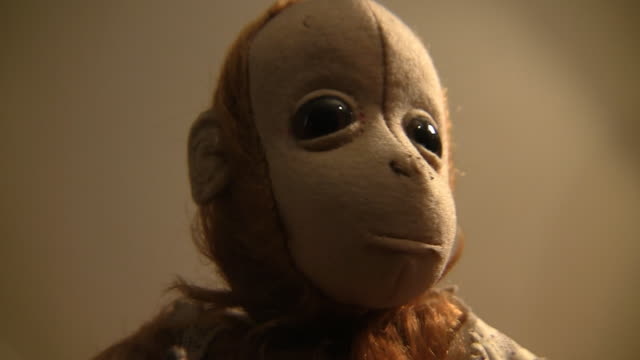 toy monkey