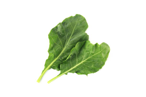 istock Chinese kale vegetable on white background 1358217302