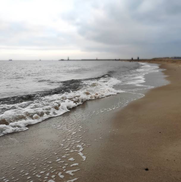 istock Beautiful beach at the Baltic Sea 1358217332