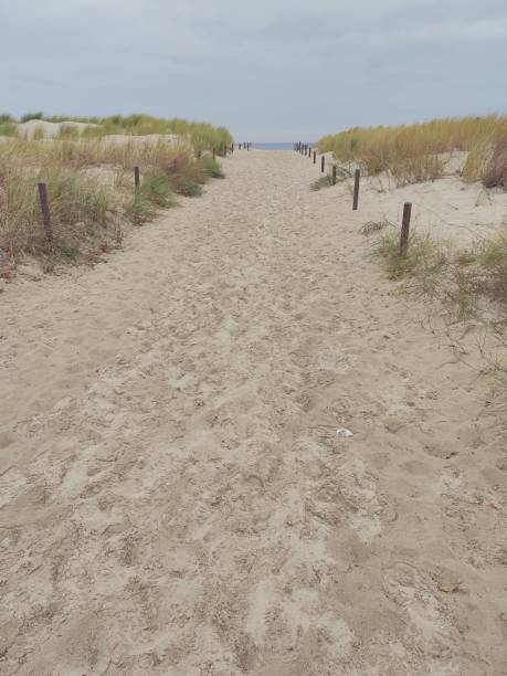 istock Dunes at the Baltic Sea 1358217365