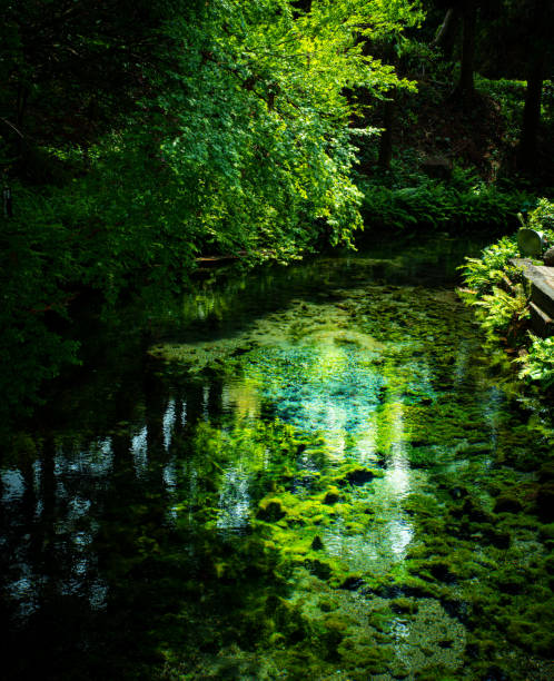 Spring water of Aso Shirakawa water source
