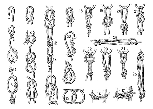 Antique illustration: Tied knots collection