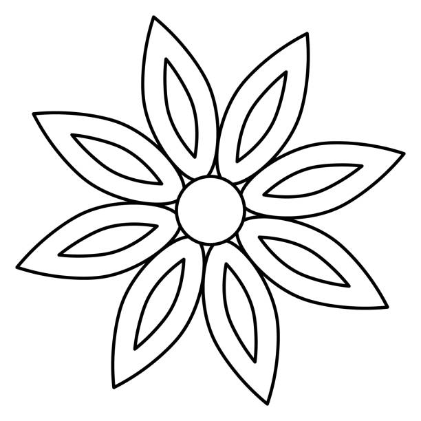 Star anise. Sketch. Badian. Vector illustration. Coloring book for children. Spices for drinks and pastries. Magnolia fruit. Outline on an isolated background. Star anise. Sketch. Badian. Vector illustration. Coloring book for children. Spices for drinks and pastries. Magnolia fruit. Outline on an isolated background. Doodle style. Idea for web design, invitations, postcards. star anise stock illustrations