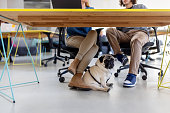 Pug dog below the desk next to young start up workers