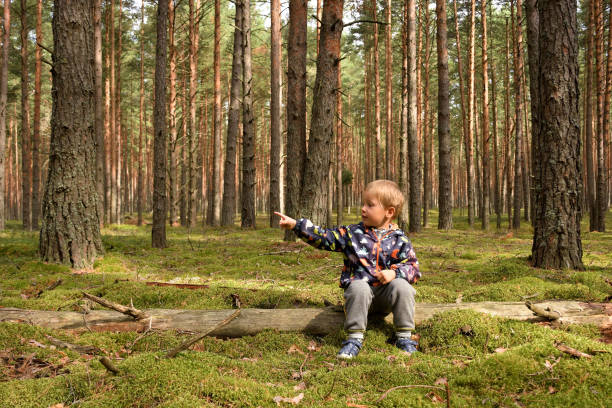 dziecko w lesie iglastym, las sosnowy, dziecko wśród pni drzew w lesie - discovery forest lost confusion zdjęcia i obrazy z banku zdjęć