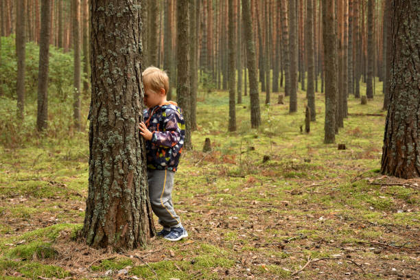 istock a child in a coniferous forest, a pine forest, a child among tree trunks in the forest 1358221021