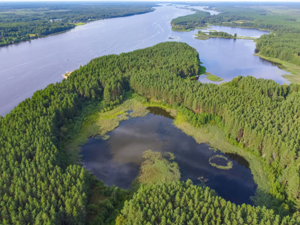istock Flight over the river, river in the forest from a bird eye view 1358221166