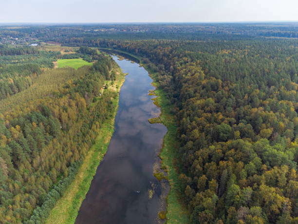 istock Flight over the river, river in the forest from a bird eye view 1358221198