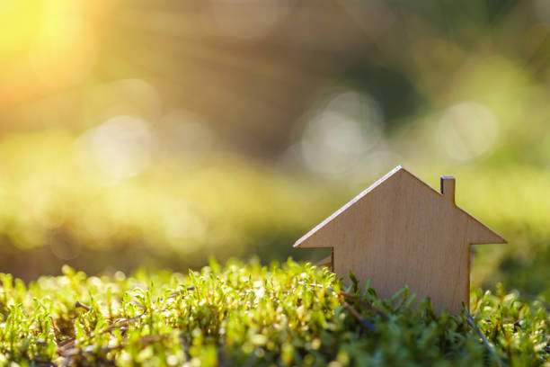 istock the concept of an ecological house 1358225237