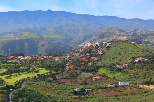 istock Santa Brigida in Gran Canaria 1358225434