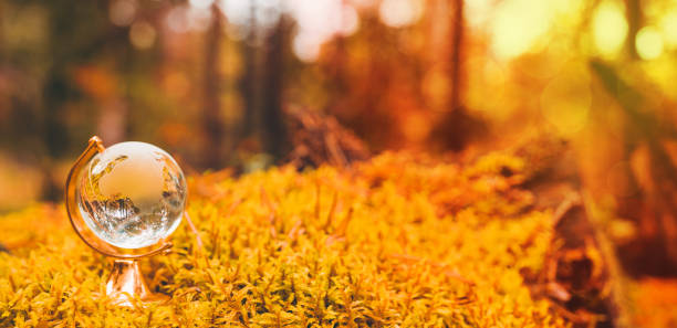 istock glass globe on autumn leaves 1358225862