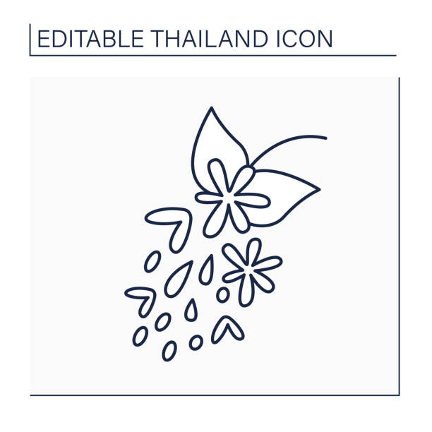 illustrations, cliparts, dessins animés et icônes de thaïlande lin solo - summer exploration idyllic heaven