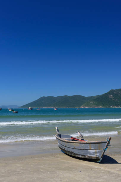 istock Pantano do Sul Beach - Santa Catarina 1358228711