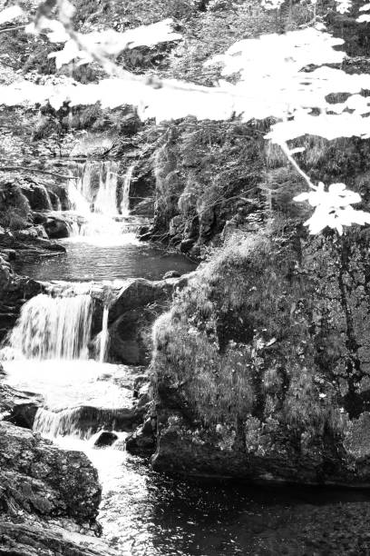 istock rushing mountain stream with several waterfalls in black and white 1358229080
