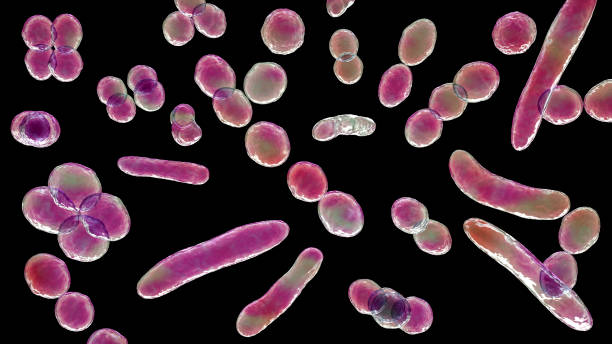 bakterie o różnych kształtach - nutritional supplement flash zdjęcia i obrazy z banku zdjęć