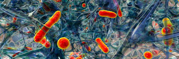 Antibiotic resistant bacteria in a biofilm, 3D illustration stock photo