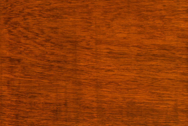 istock background and texture of Macro Ormosia wood 1358230296