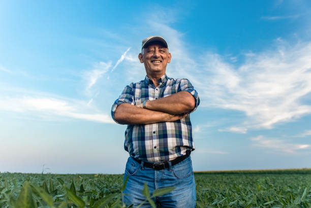 istock Senior farmer standing in soybean field. 1358232054