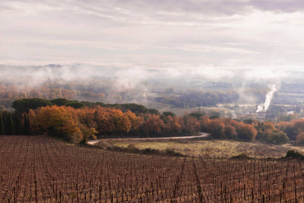 istock Winter landscape of tuscan hills. 1358234512