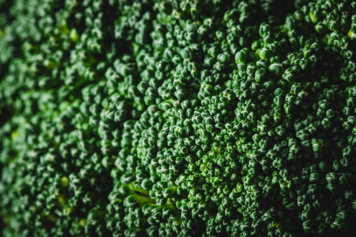 Close up macro image of fresh broccoli