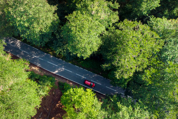 istock Road through the forest - aerial view 1358246122