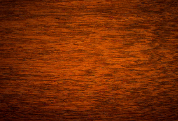 istock background and texture of Macro Ormosia wood 1358246156