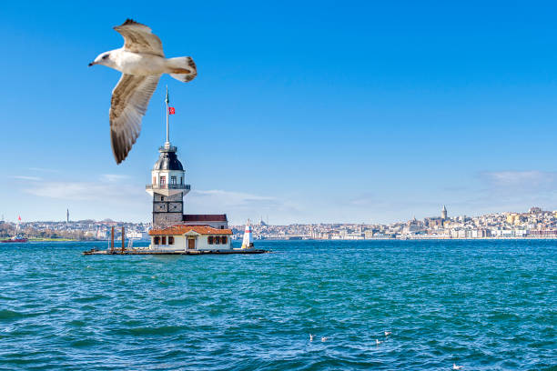 istock Kizkulesi İstanbul, Turkey 1358247381