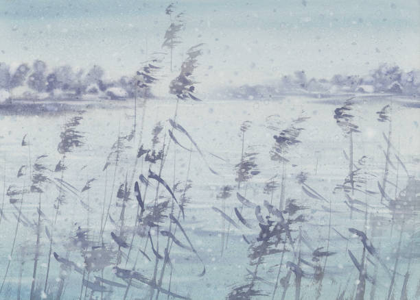 illustrations, cliparts, dessins animés et icônes de la première neige au bord du fond d’aquarelle du lac - frozen cold lake reed