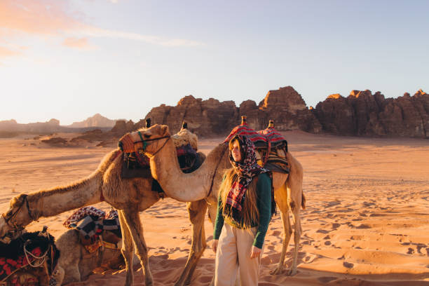weibliche reisende bereitet sich auf den kamelritt in der wüste wadi rum während des malerischen sonnenuntergangs vor - herbivorous animals in the wild camel hoofed mammal stock-fotos und bilder