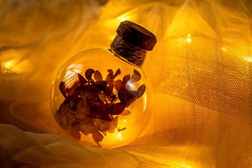 Magic bottle filled with dry flowers in amber light