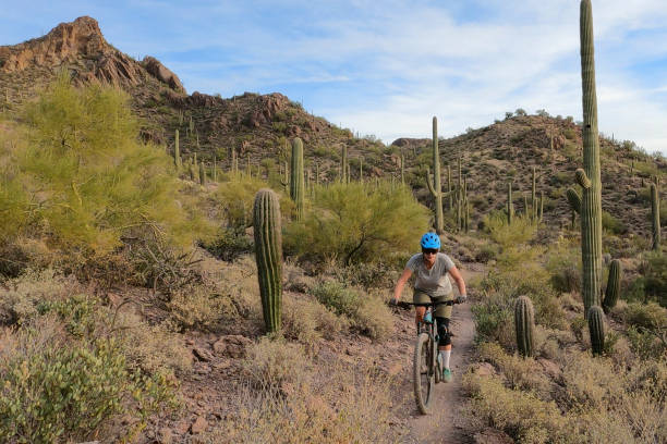 istock Female mountain biker follows trail, in desert 1358258151