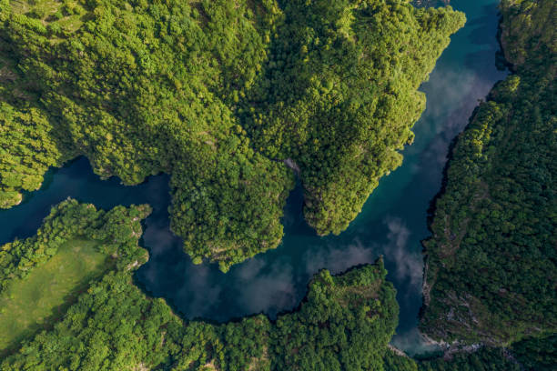 istock Aerial view of forest and lakes 1358258152