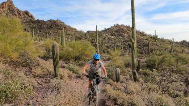 istock Female mountain biker follows trail, in desert 1358258171