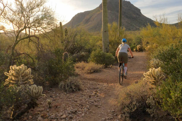 istock Female mountain biker follows trail, in desert 1358258521