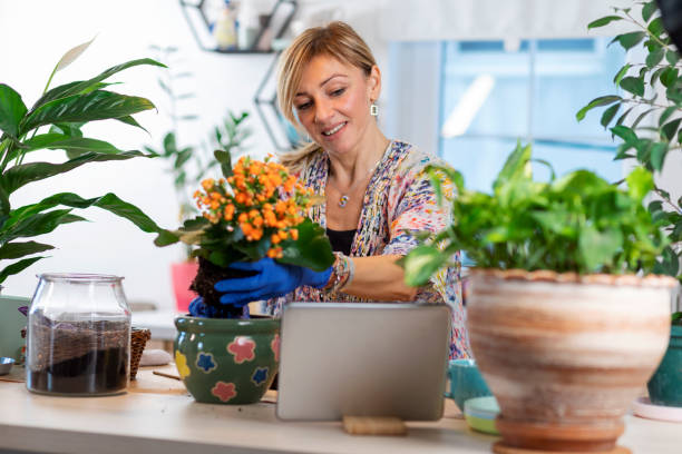 istock Taking care of houseplants 1358258587