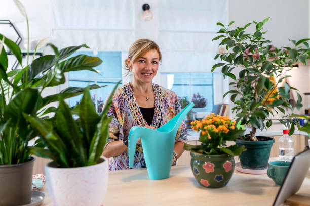 istock Taking care of houseplants 1358258599