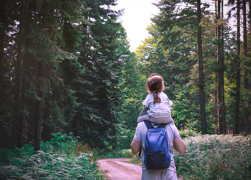 Padre camina con su hija por el bosque photo