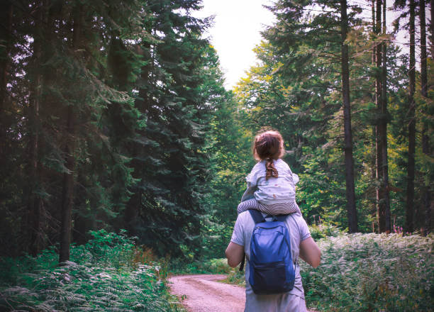 Father walks with his daughter in the forest Father walks with his daughter on his shoulders in the forest city break stock pictures, royalty-free photos & images