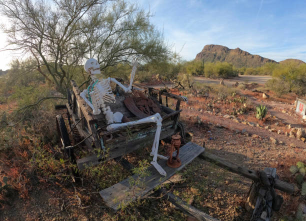 istock View of a skeleton in an old wheelbarrow 1358259677