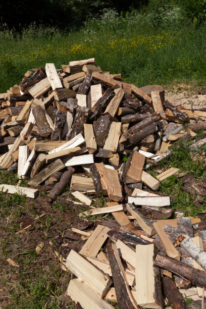 istock wood cut into logs for use in a stove or fireplace 1358259720