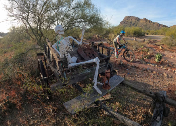 View of a skeleton in an old wheelbarrow
