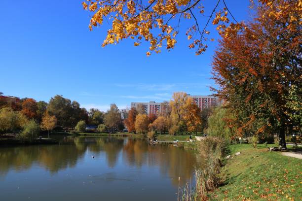 istock City park autumn in Bytom, Poland 1358260217