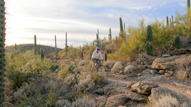 istock Female mountain biker follows trail, in desert 1358261143