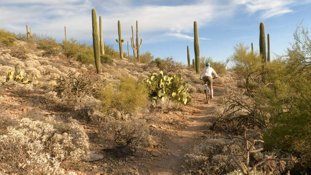 istock Female mountain biker follows trail, in desert 1358261200